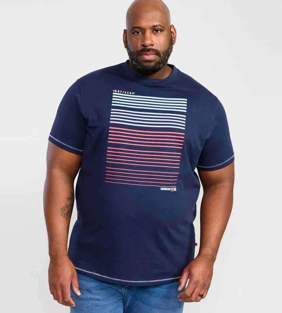 D555 Big Mens Gradient Line Printed T-Shirt (CRANSFORD)