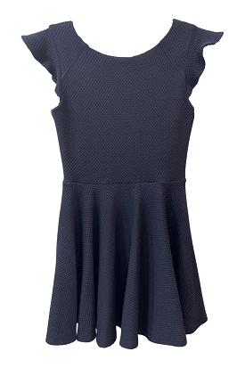 Navy Flutter Sleeve A-line Dress